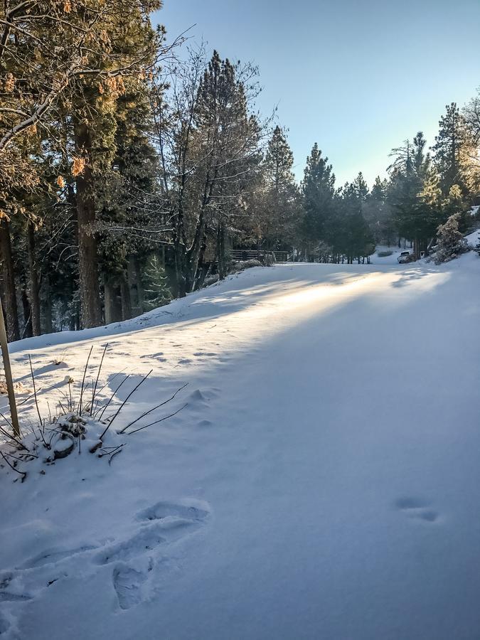 Tres Bien Ensemble Vila Big Bear Lake Exterior foto